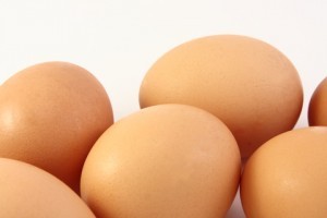 Chicken eggs stock image
