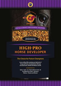 High Pro Horse Developer